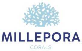 Millepora Corals